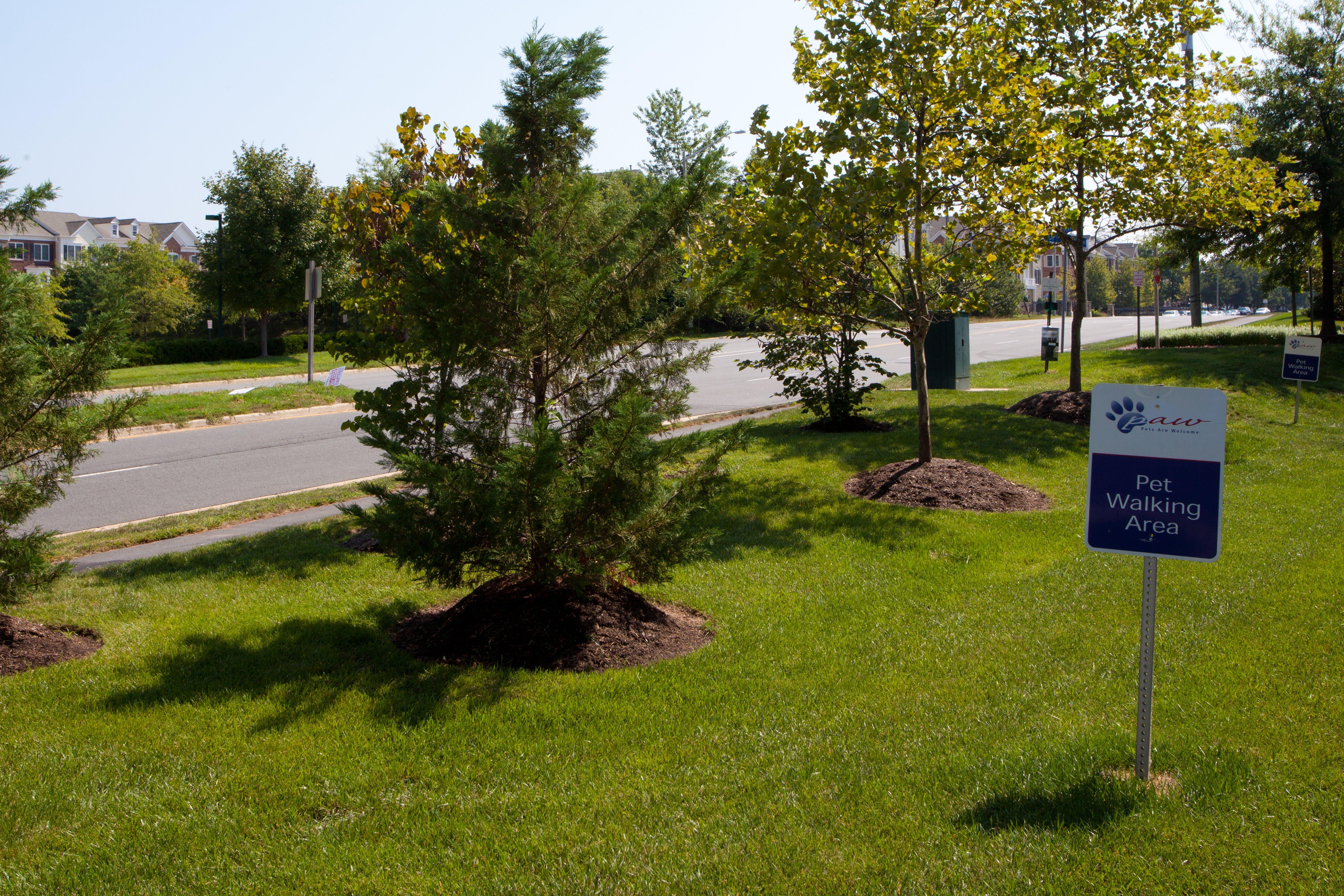 Candlewood Suites Washington-Dulles Herndon, An Ihg Hotel Exterior photo